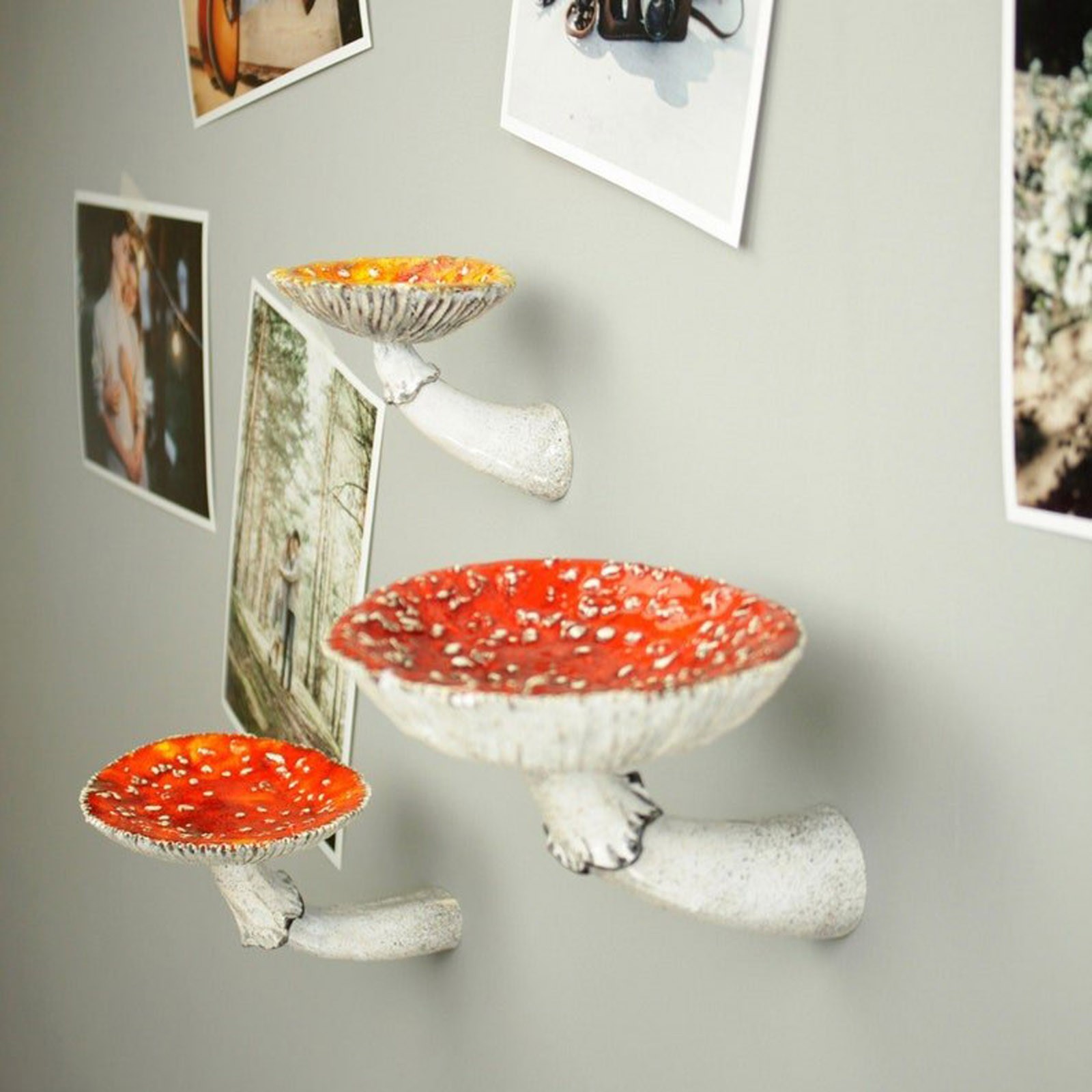 2024 Creative Resin Mushroom-H - огляд і ціна Floating Shelves