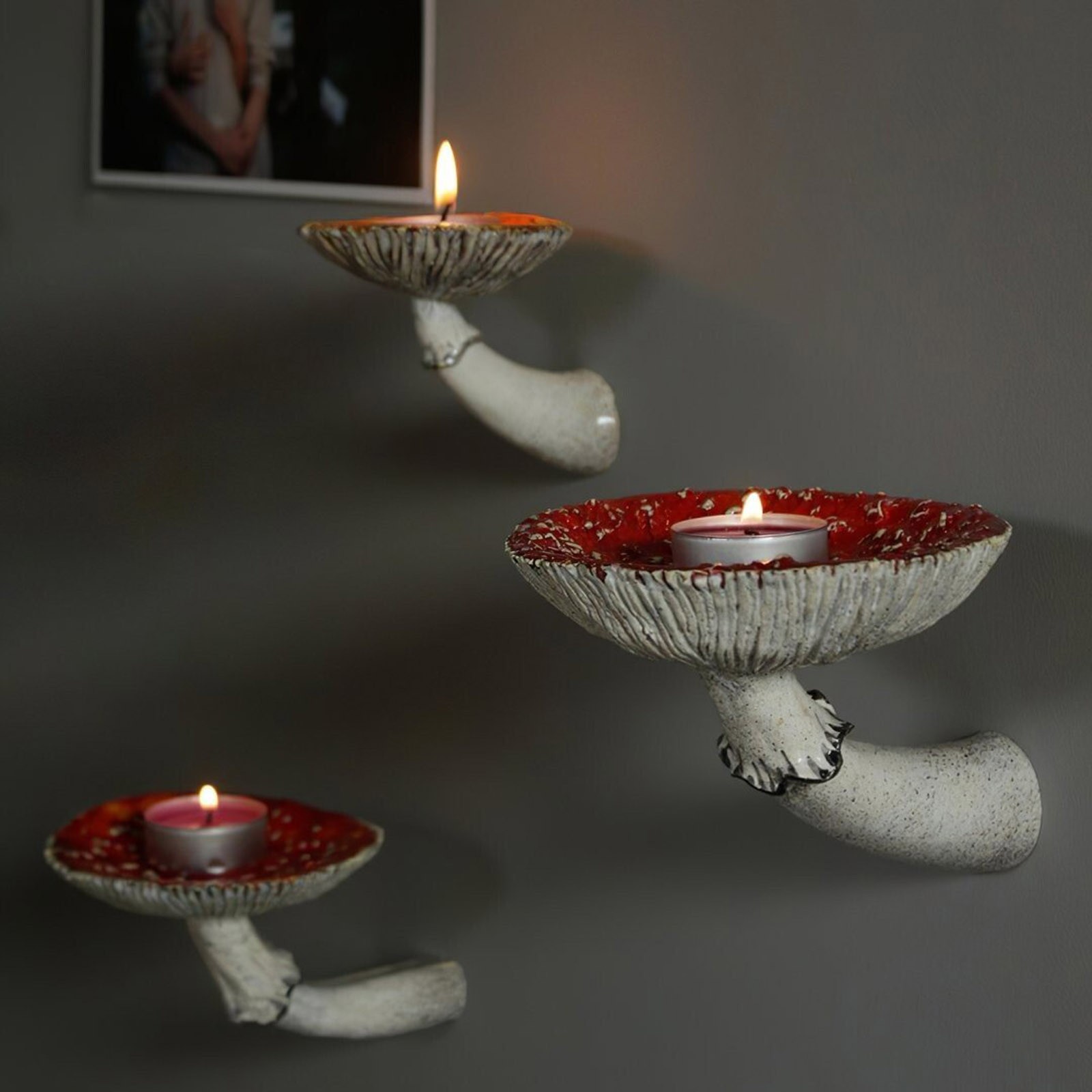 2024 Creative Resin Mushroom-H - огляд і ціна Floating Shelves