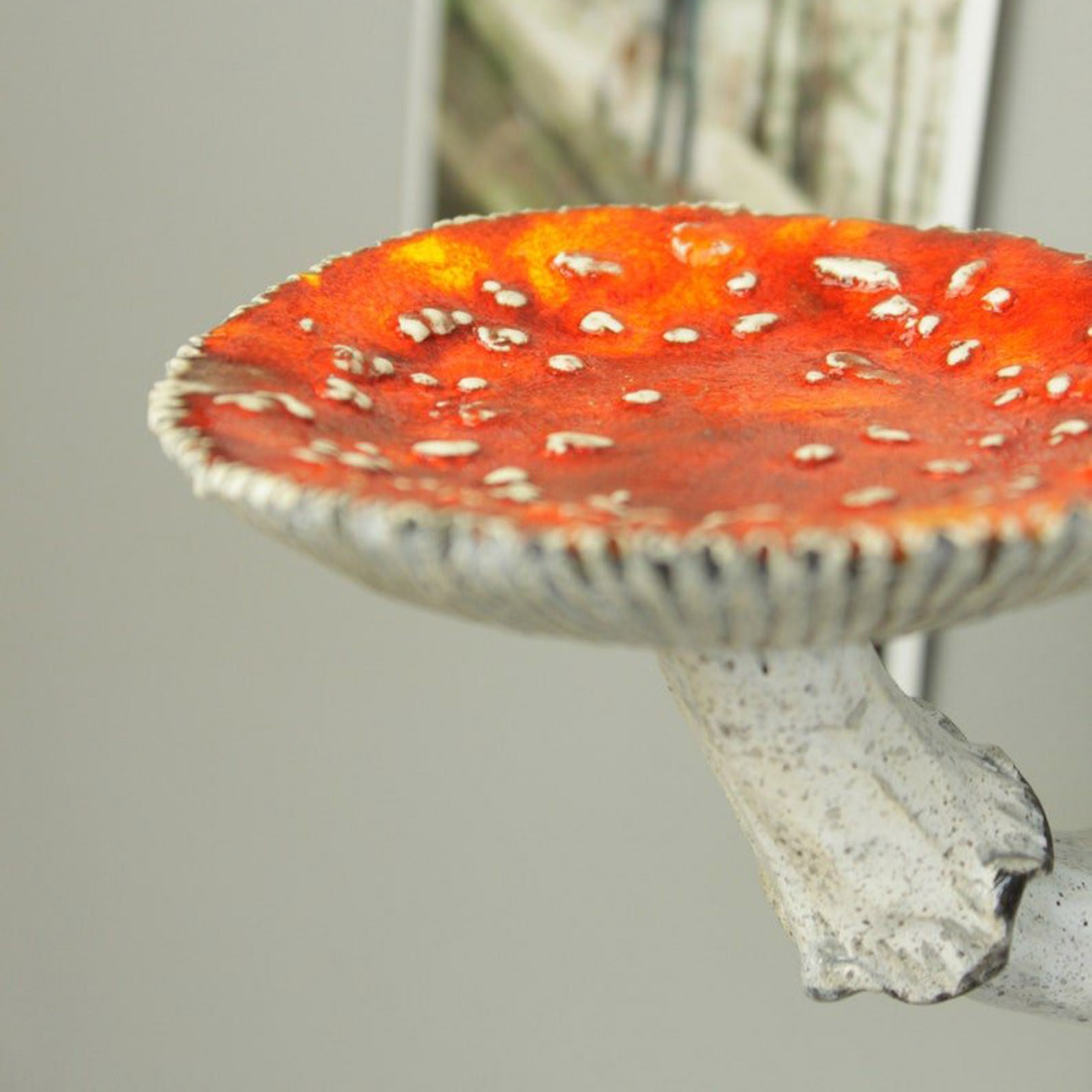 2024 Creative Resin Mushroom-H - огляд і ціна Floating Shelves